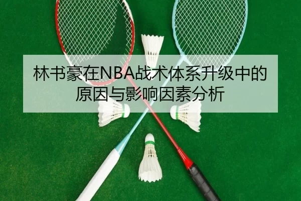林书豪在NBA战术体系升级中的原因与影响因素分析